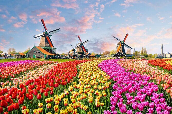 Private Keukenhof Tulip Fields Tour From Amsterdam(Skip-The-Line) - The Experience: What Makes It Special?