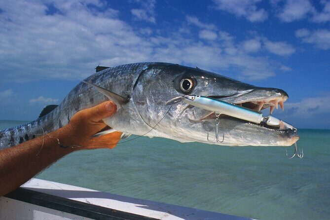 Private Key West Fishing & Sandbar or Snorkel Charter - Key Points