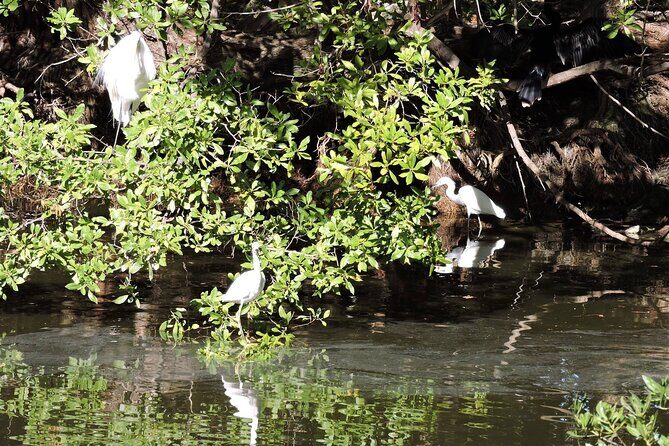 Private Key West National Wildlife Refuge Eco Trip - Final Thoughts