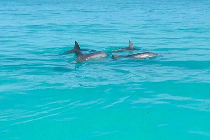 Private Key West National Wildlife Refuge Eco Trip - FAQ