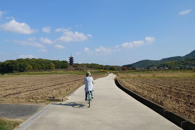 Private KIBI Cycling + Local Ramen Tour with a licensed guide - Key Points