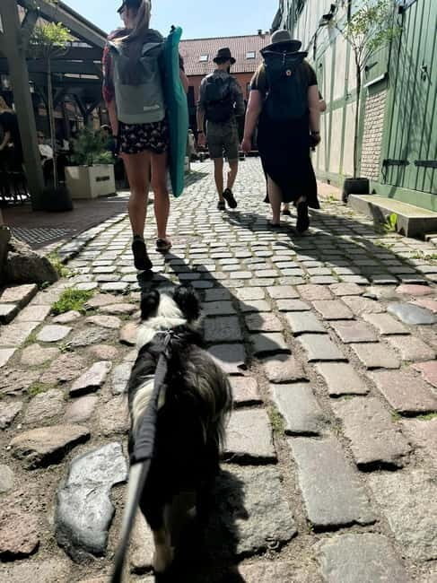 Private Klaipeda Old Town Tour - the lost city of Memel - Final Thoughts: Is It Worth It?