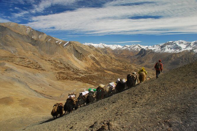 Private Kollywood Tour of Nepal - What to Expect from the Tour
