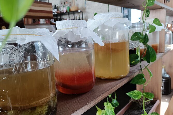 Private Kombucha Making Workshop in Cyprus - Who Will Love This Experience?