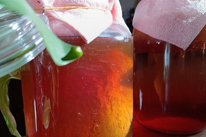Private Kombucha Making Workshop in Cyprus - The Sum Up