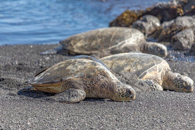 Private Kona Coffee and National Historic Parks Tour - Who Should Consider This Tour?
