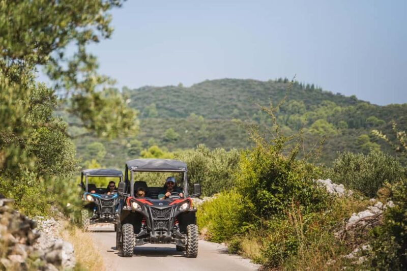 Private Korcula Buggy Safari With Wine Tasting - Key Points
