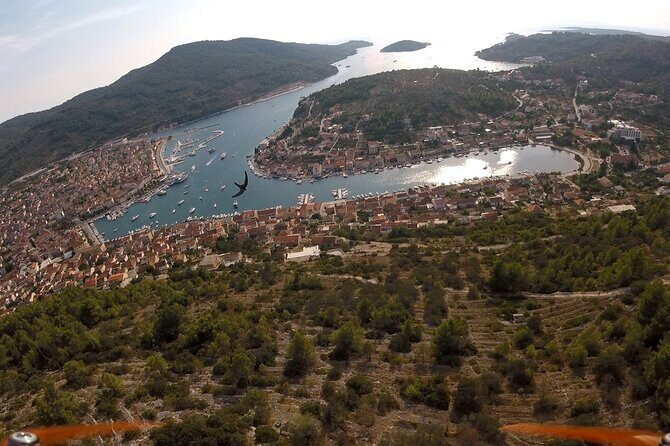 Private Korcula Eco Tour with Guide - In-Depth Look at the Korcula Eco Tour Experience