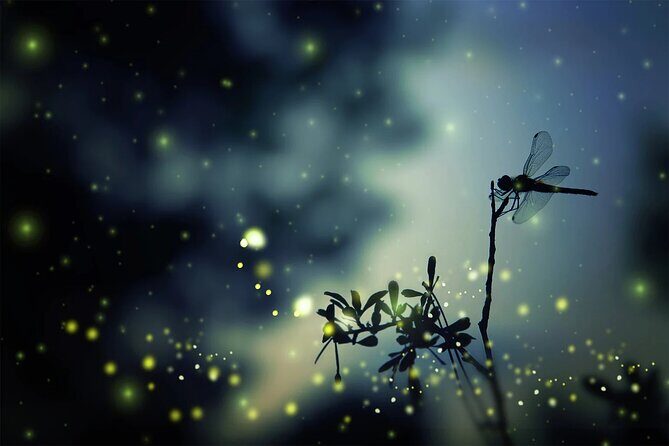 Private Kuala Lumpur Fairy Firefly And Monkey Hill Tour - The Complete Experience: What to Expect