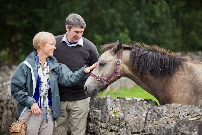Private Kylemore Abbey Express - What to Expect from the Kylemore Abbey Express Tour