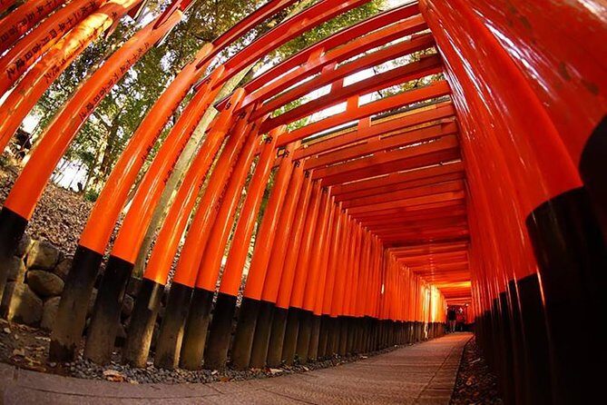 Private Kyoto Custom One Day Tour by Chartered Vehicle - A Closer Look at the Itinerary