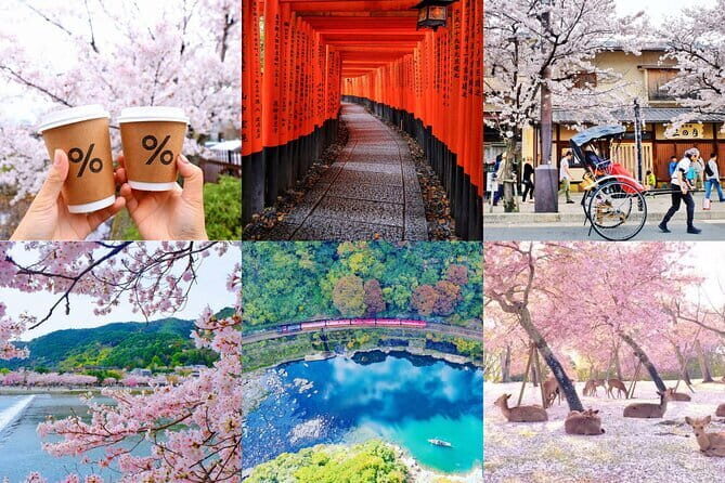 Private Kyoto Customizable Day Tour With English Guide - Key Points