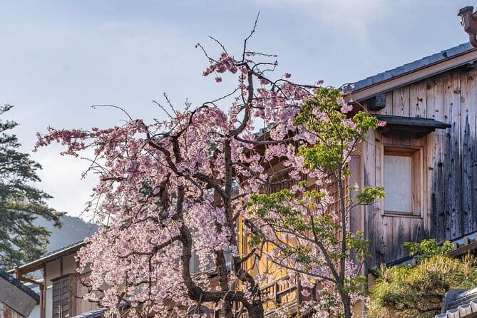 Private Kyoto Customizable Day Tour With English Guide - A Deep Dive into the Itinerary