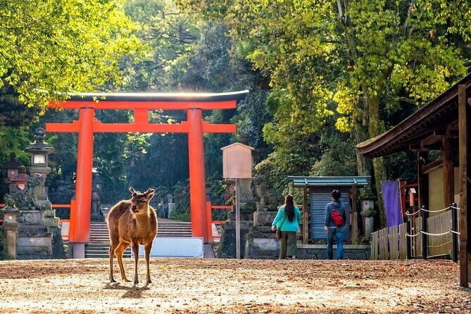 Private Kyoto Customizable Day Tour with English Speaking Driver - Frequently Asked Questions