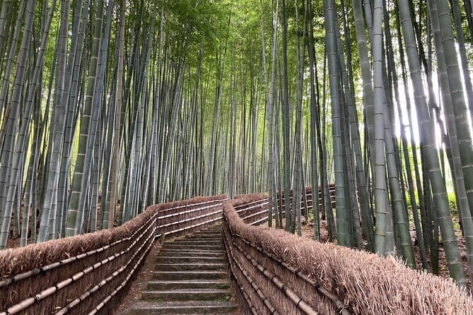 Private Kyoto with Exceptional Guide Tailored to Your Needs - A Close Look at the Tour Experience