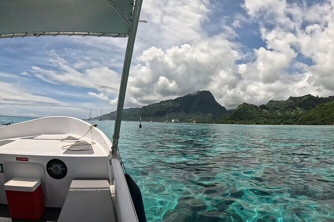 Private Lagoon Exploration and Snorkeling in Moorea - Key Points