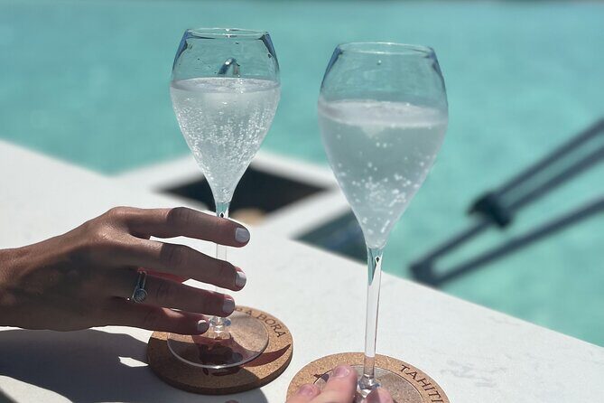 Private Lagoon Tour on a Prestigious Pontoon Boat in Bora Bora - Customer Experience & Reviews
