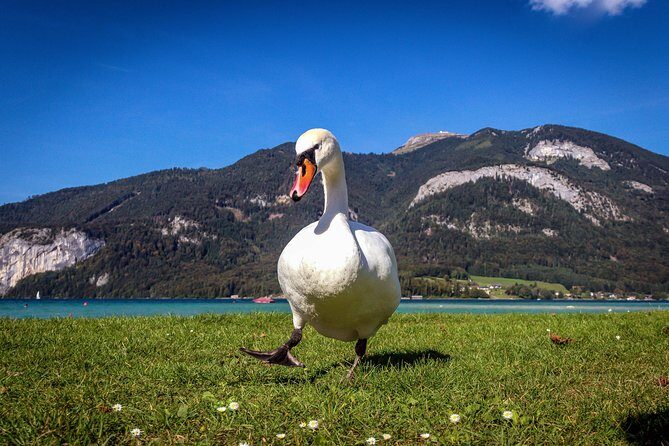 Private Lake District, St. Wolfgang and St. Gilgen Tour - An In-Depth Look at the Itinerary and What to Expect