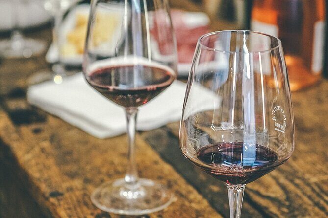 Private Langhe and Barolo Wine Tour from Milan - Who Will Love This Tour?