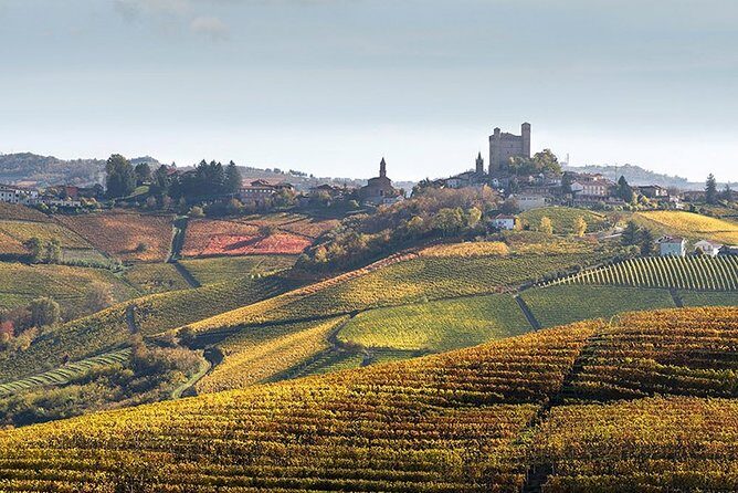 Private Langhe and Barolo Wine Tour from Milan - Final Thoughts