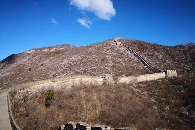 Private Layover Tour to Mutianyu Great Wall and Forbidden City - Limitations and Considerations