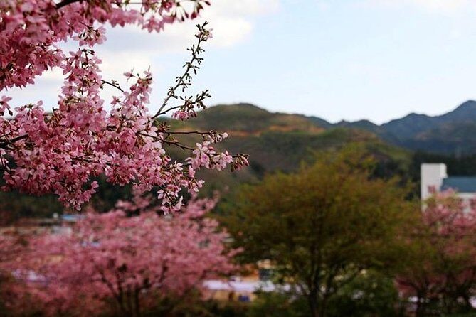 Private Layover Tour to Tianluokeng Tulou from Xiamen Airport or Cruise Port - FAQ