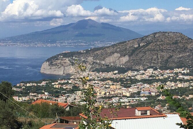 Private Limousine Transfer from Rome to Sorrento - Who Is This Tour Best For?