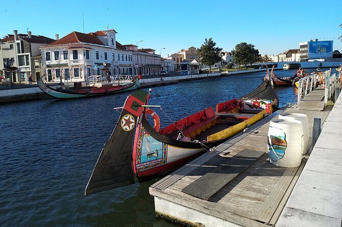 Private Lisbon to Porto tour - Scenic Stops - Electric Vehicle - Who Will Love This Tour?