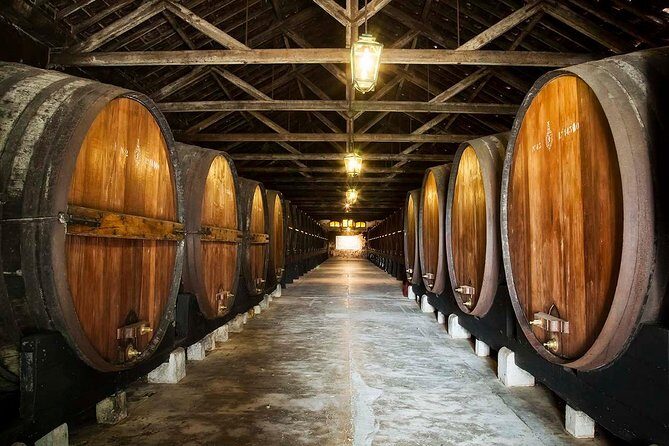 Private Lisbon wine tasting tour in the Setubal region - A Deep Dive into the Experience: What You Can Expect