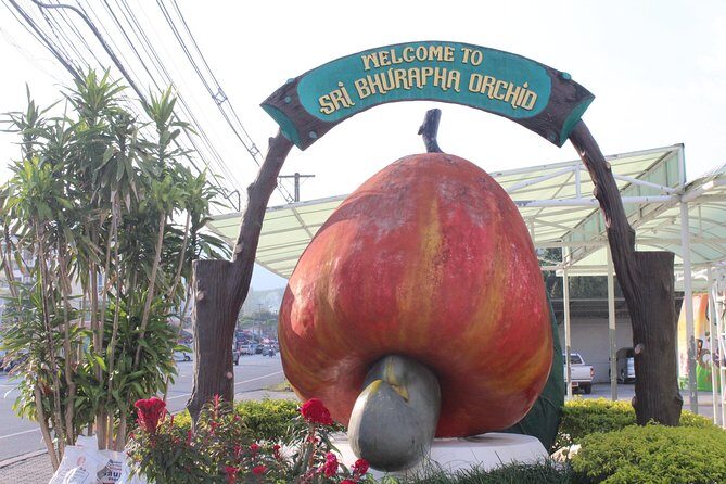 Private local city tour with english speaking driver - Why Choose This Tour?