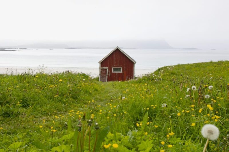 Private Lofoten Islands Tour (from Leknes) - A Detailed Look at the Lofoten Islands Private Tour