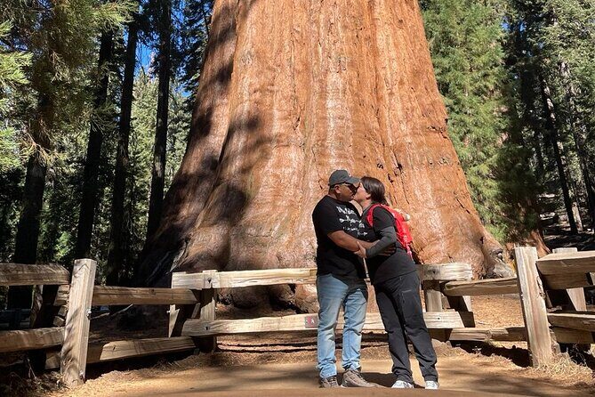 Private Los Angeles to Yosemite Valley Multi Day Tour - A Complete Look at the Experience