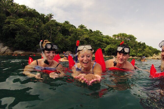 Private Los Arcos Snorkel and Beach Tour from Puerto Vallarta - What to Expect from the Tour