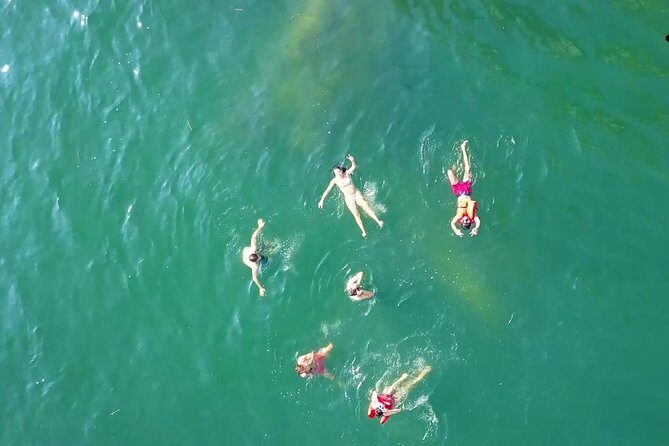 Private Los Arcos Snorkel and Beach Tour from Puerto Vallarta - Final Thoughts