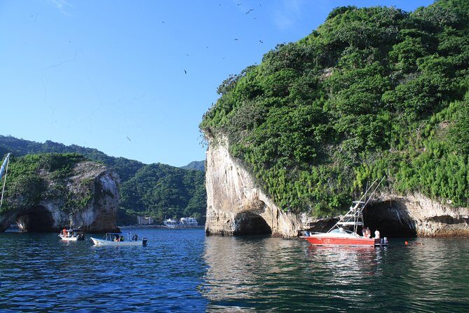 Private Los Arcos snorkeling - Introduction: Diving Into Puerto Vallarta’s Marine Side