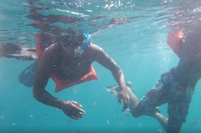 Private Los Arcos snorkeling - What’s Included and What’s Not?