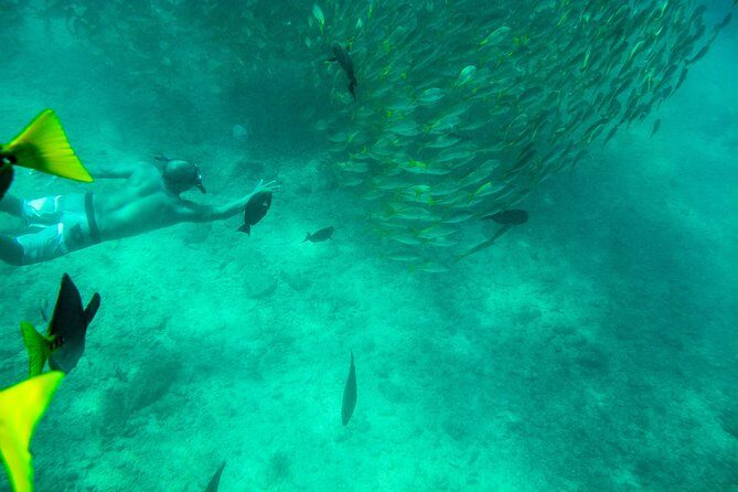 Private Los Cabos snorkeling tour to Chileno bay and Santa Maria cove - Final Thoughts