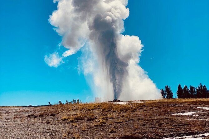Private Lower Loop Tour of Yellowstone National Park - An In-Depth Look at the Yellowstone Private Tour
