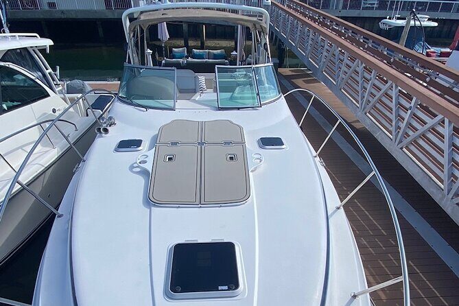 Private Luxury 45' Bay Cruiser Tour in San Diego: Suitable for Any Events - An In-Depth Look at the Experience