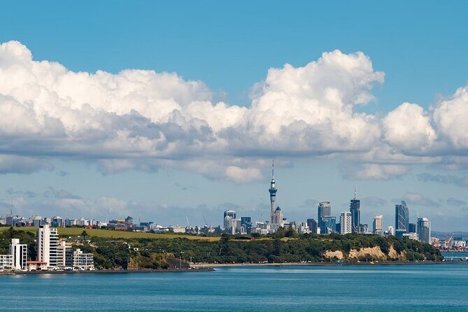 Private Luxury Airport Transfer to/from Central Auckland - Final Thoughts