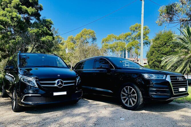 Private Luxury Blue Mountain Tour with Wildlife and River Cruise - The Itinerary in Detail