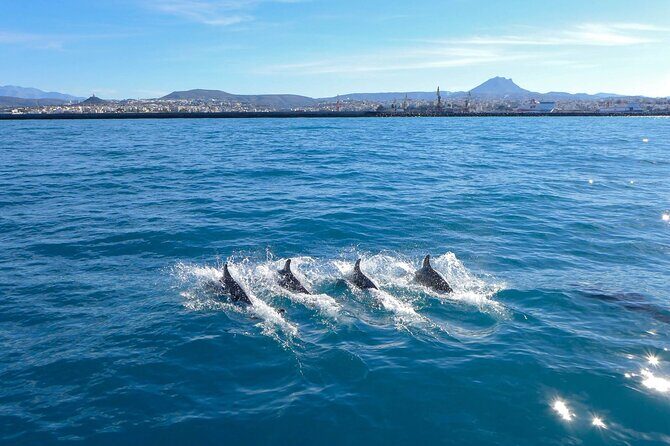 Private luxury Escape Sailing, Snorkel and Lunch Cruise - The Value of This Private Yacht Experience