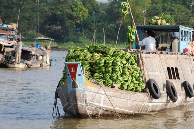 PRIVATE LUXURY Mekong Delta full day from HCM city - An In-Depth Look at the Tour Experience