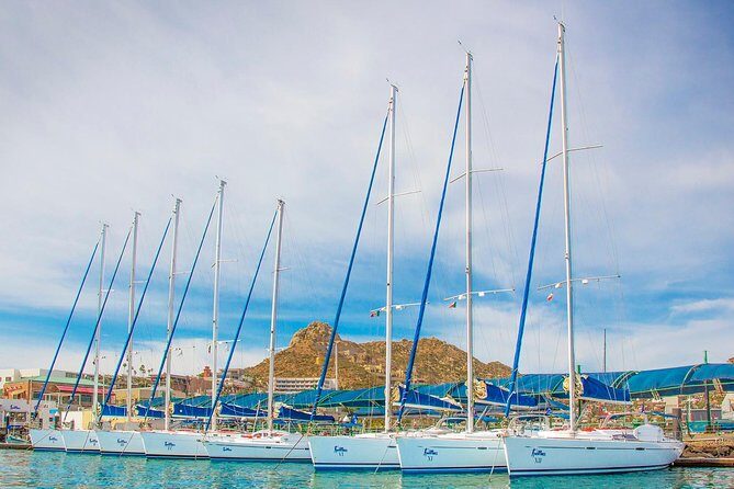 Private Luxury Sailing Cruise in Los Cabos with Lunch and Open Bar - Who Is This Tour Best For?