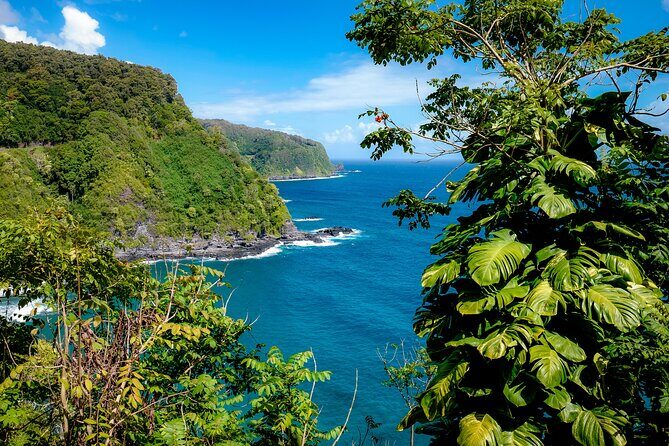 Private Luxury SUV Road to Hana Experience - Final Thoughts: Is This Tour Right for You?