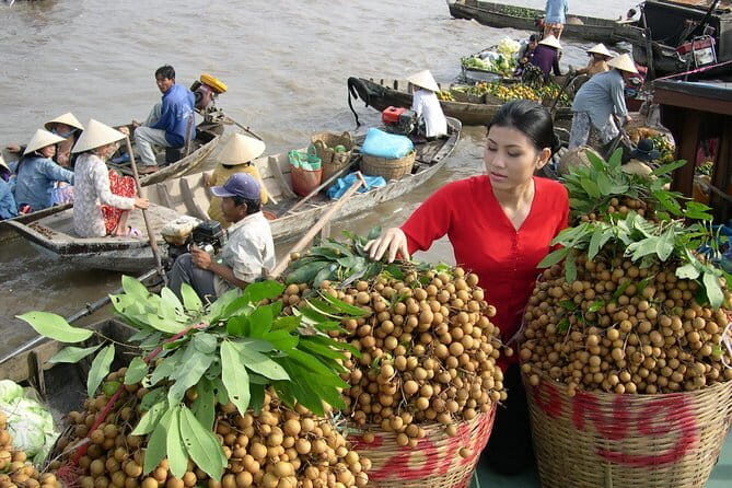 Private Luxury Tour Mekong Delta 1 day - Introduction