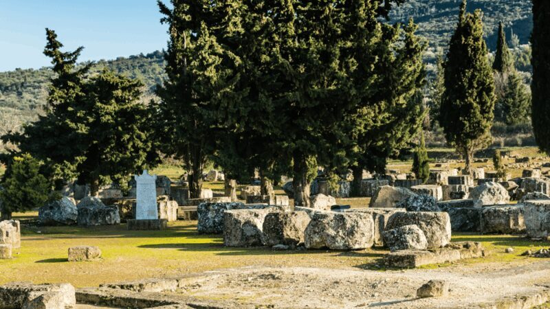 Private Luxury Tour: Nemea's Ancient Sites & Wine Tasting - Wine Tasting in Nemea: Savoring Greece’s Wine Heritage