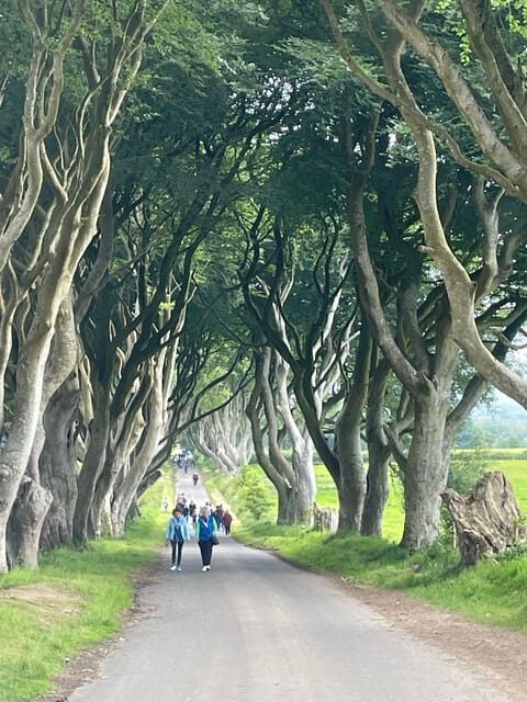 Private luxury tour of Belfast & giants causeway tickets inc - Key Points