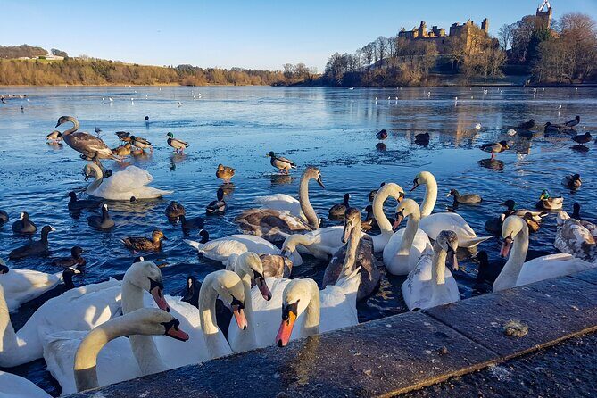 Private Luxury Tour of Loch Lomond, Oban, Glencoe & The Highlands - FAQ