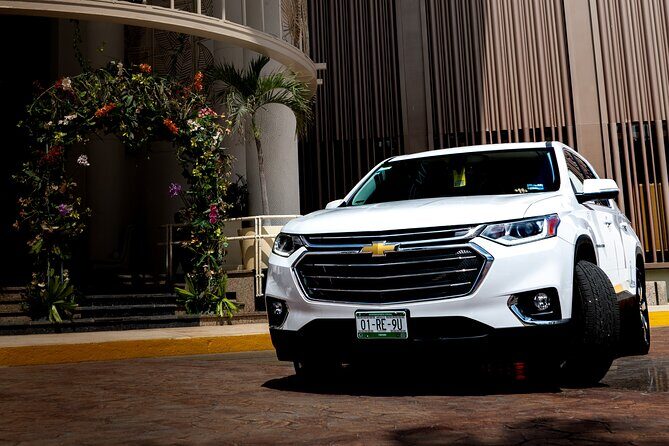 Private Luxury Van with Chauffeur to Restaurants (Round Trip) - Key Points